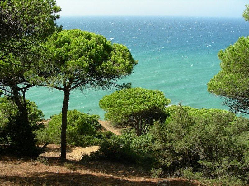 La Aceitera De Trafalgar Barbate Dış mekan fotoğraf