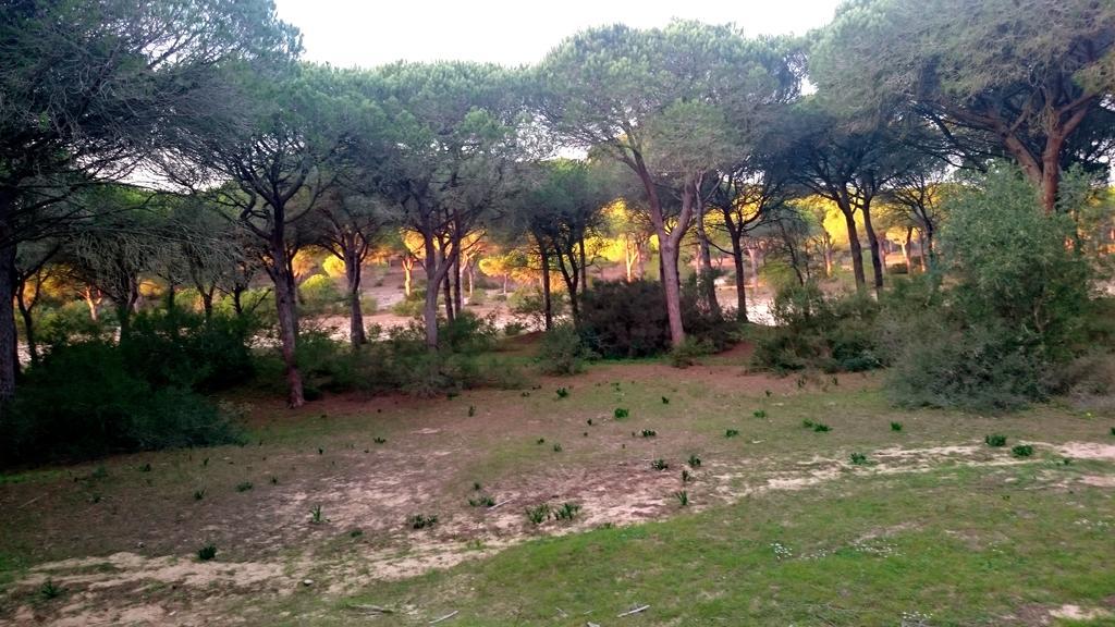 La Aceitera De Trafalgar Barbate Dış mekan fotoğraf