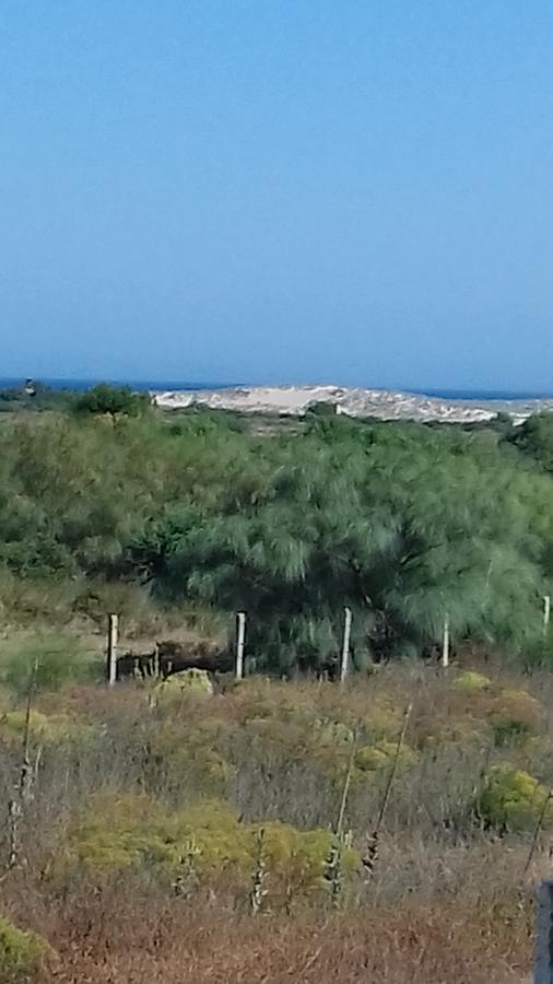 La Aceitera De Trafalgar Barbate Dış mekan fotoğraf